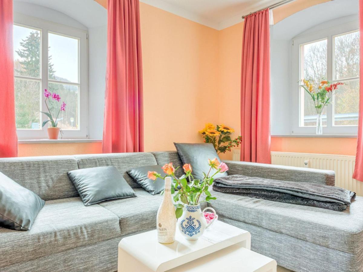 Apartment In Rauschenbach Saxony Near Forest ノイハウゼン 部屋 写真