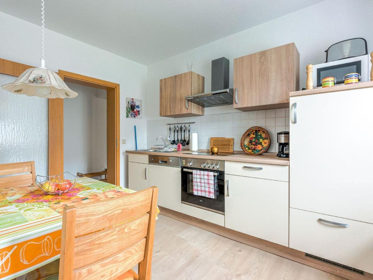 Apartment In Rauschenbach Saxony Near Forest ノイハウゼン 部屋 写真
