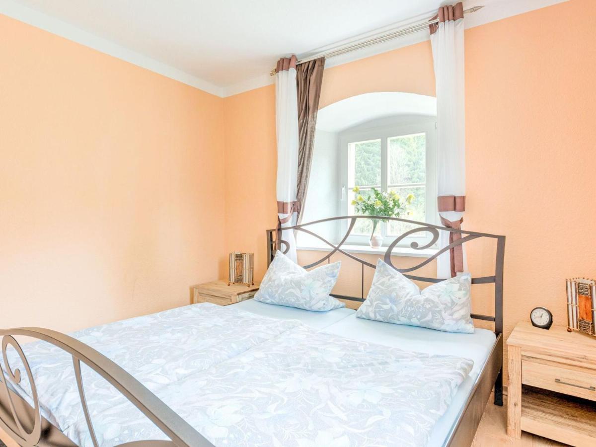 Apartment In Rauschenbach Saxony Near Forest ノイハウゼン 部屋 写真