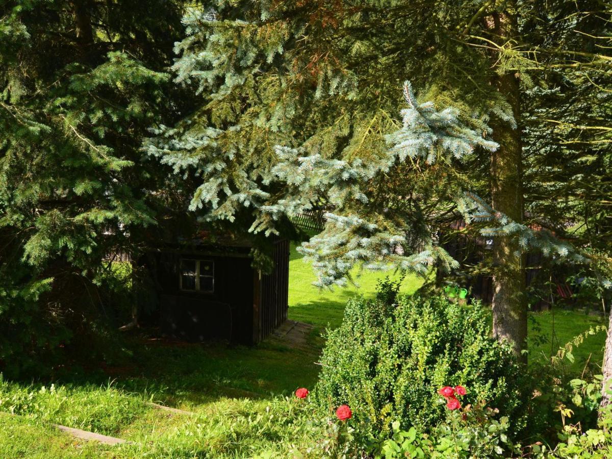 Apartment In Rauschenbach Saxony Near Forest ノイハウゼン エクステリア 写真